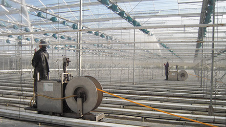 Cleaning greenhouse interior